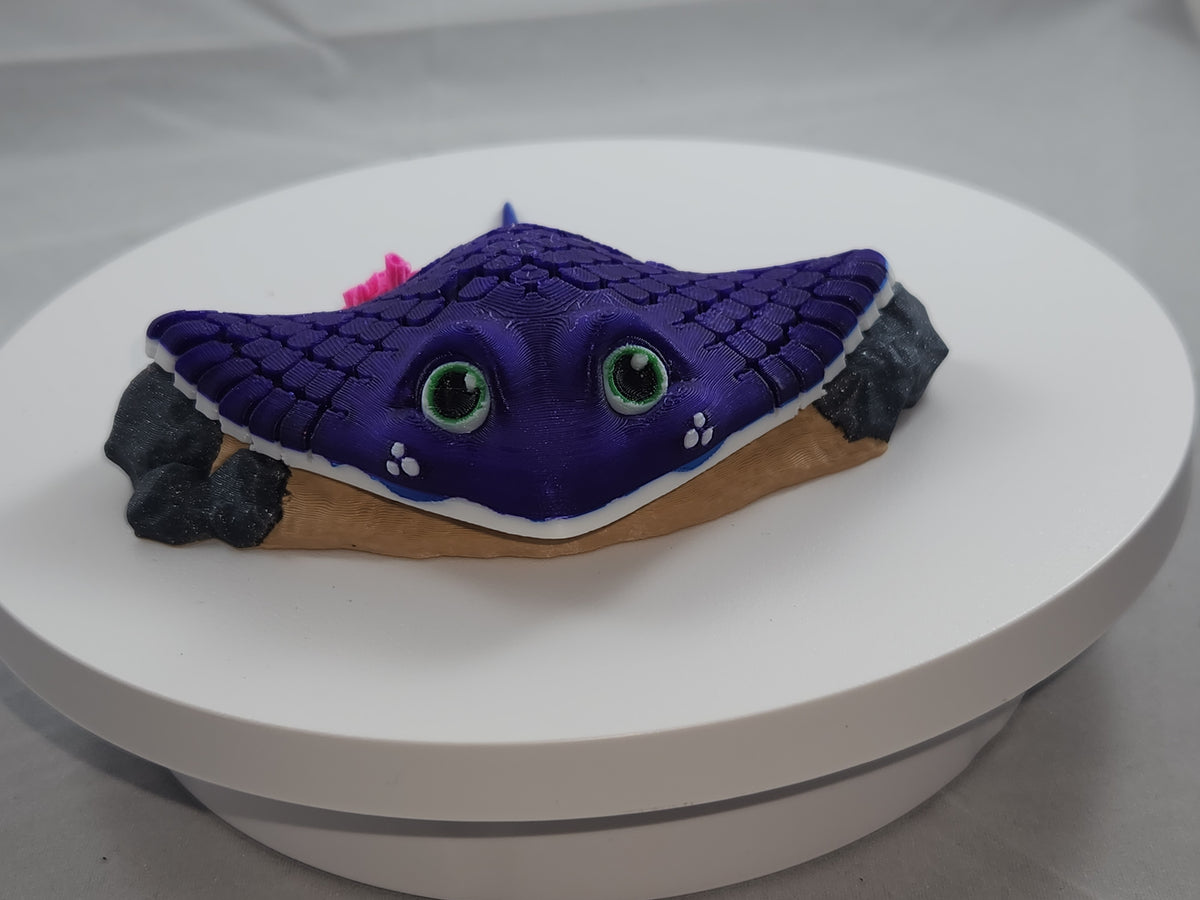 Manta Ray
