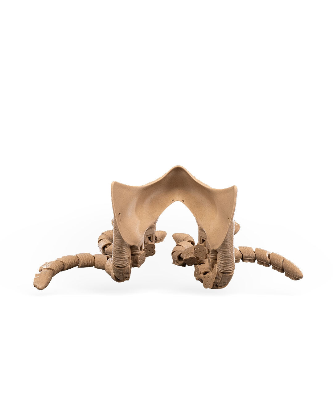 Tentical mask