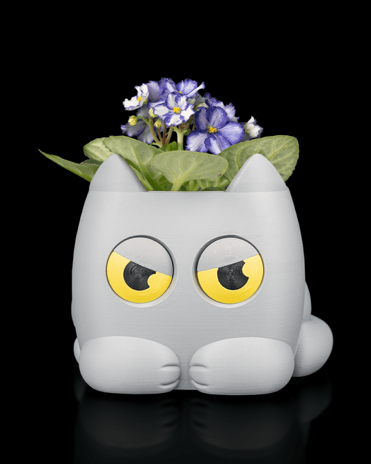 Grumpy Kitty - Planter