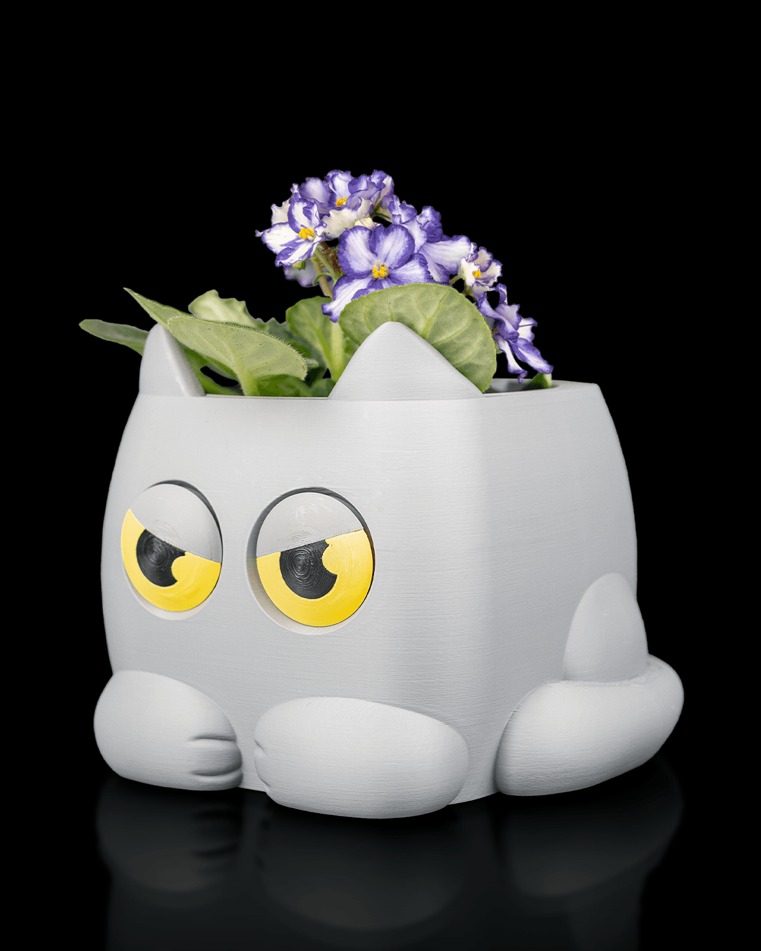 Grumpy Kitty - Planter