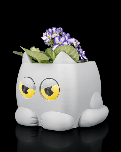 Grumpy Kitty - Planter
