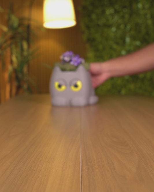 Grumpy Kitty - Planter
