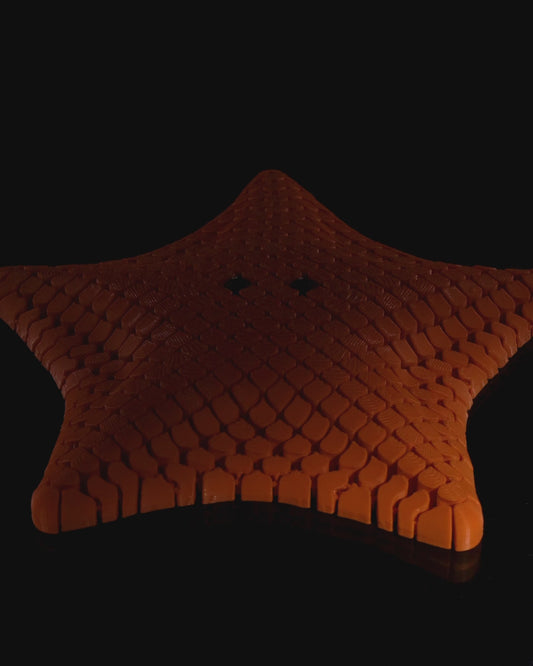 Betsie the Sea Star